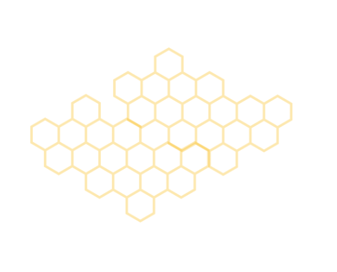 Componenti del miele 